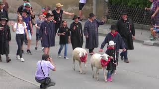 Schäferlauf Wildberg Festzug 2018 [upl. by Goodden]