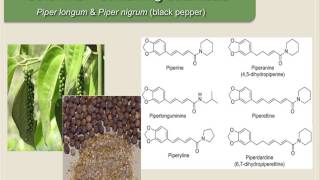 Pharmacokinetic Interactions Other Examples [upl. by Olette682]