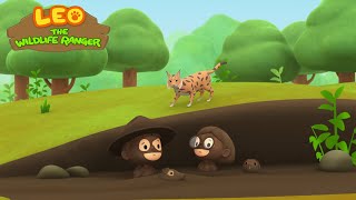 Wild Boar  Leo the Wildlife Ranger Minisode 128 [upl. by Mireielle849]