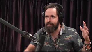 Duncan Trussell on why meditate [upl. by Brigette854]