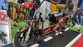 Dhanno  Delivery Electric Scooter from Evolet  Auto Expo 2020  250 Kg Payload 80 Km Range [upl. by Seiber]