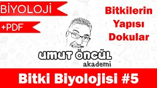 Biyoloji  AYT  Bitki Biyolojisi 5  PDF [upl. by Adidnere681]