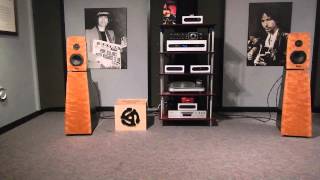 Tetra Speakers 333 Stack Warning lifesized bass levels Play It Low [upl. by Lazos]