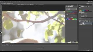 Quick Photoshop Secrets 4 Quickly Remove Chromatic Aberration [upl. by Drogin]