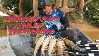 Pancing Udang Galah Sungai Pahang  Paloh Hinai  sahilihssn [upl. by Anevad]