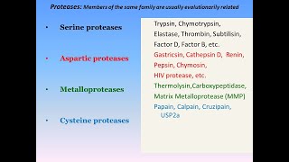 Serine Proteases Mechanism of Action [upl. by Eniar640]