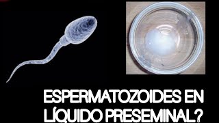 LÍQUIDO PRESEMINAL CON ESPERMAS AQUÍ LO COMPROBAMOS BAJO EL MICROSCOPIO [upl. by Leemaj363]