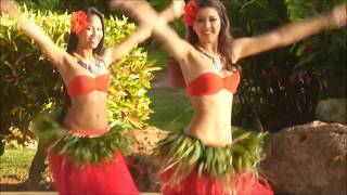 Hula Dancers in Poipu Kauai [upl. by Kotz592]