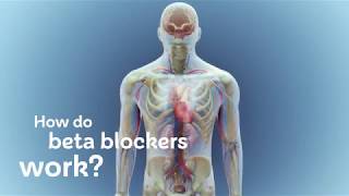 How do beta blockers work [upl. by Fritzsche]