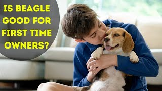 Is a beagle a good house dog [upl. by Noreen]