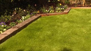 How to Care For and Maintain Lawns  Mitre 10 Easy As DIY [upl. by Nabla]