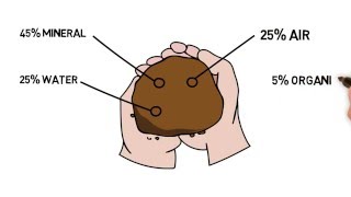 Introduction to Soil part 2 [upl. by Airoled]