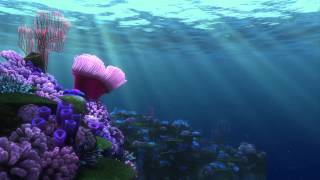 FINDING NEMO  screensaver Coral Reef 1 [upl. by Enuahs]