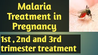 Malaria treatment in pregnancy1st 2nd and 3rd trimester treatment Malaria treatment in hindi [upl. by Oer]