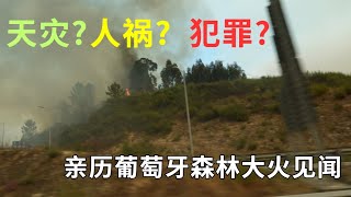 亲历葡萄牙森林大火见闻  天灾人祸还是犯罪？ [upl. by Ulda]