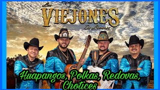 Los Viejones de Linares Huapangos 2022 [upl. by Kaule]