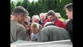 Checking Honeybee queens in VUVČ Dol Czech Rep  262012 [upl. by Adniled165]