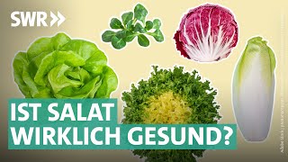 Gartensalate Bittersalate amp Co – das steckt wirklich drin  Marktcheck SWR [upl. by Annanhoj346]