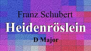 Heidenröslein by Franz Schubert  Piano accompaniment  D Major [upl. by Pomeroy]