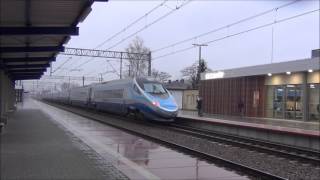 Ciechanów zatrzymał Pendolino [upl. by Anele]