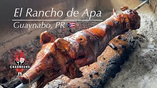 La Ruta del BBQ en Puerto Rico  El Rancho de Apa en Guaynabo 11 bbqpr rutabbqpr charneco EP152 [upl. by Nettie567]