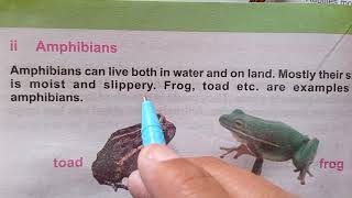 Classification Of Animals In Urdu  Vertebrates And Invertebrates Intro To Fish Reptiles Amphibians [upl. by Niletak433]