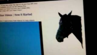 2 guys 1 horse video reaction [upl. by Okiek651]