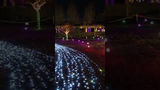 Daniel Stowe Botanical Garden light show [upl. by Helban580]