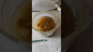 Test of pectin content of fruit extract by alcohol precipitation method nepali [upl. by Ysdnyl]