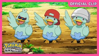 Thieving Ducklett Trio  Pokémon Black amp White  Official Clip [upl. by Perlman461]