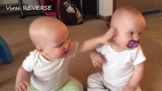 CUTE TWIN BABIES Fighting over pacifier  REVERSE Version [upl. by Auqeenahs453]