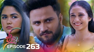 Jaanu  Episode 263  20240227  ITN [upl. by Ullman]