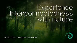 Guided Meditation  Experience Interconnectedness with Nature [upl. by Tiffie]