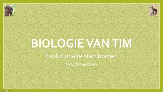 Biologie van Tim  Evolutionaire stambomen bovenbouw [upl. by Mohorva]