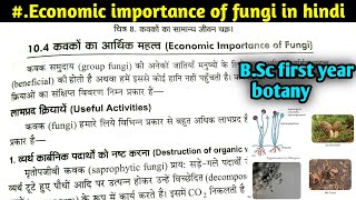 Economic importance of fungi  कवकों के आर्थिक महत्व  BSc first year botany first semester [upl. by Wesla864]