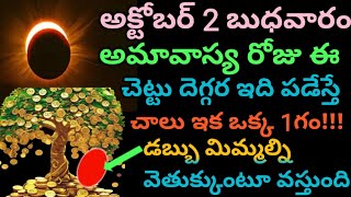 అక్టోబర్ 2 అమావాస్య రోజు ఈ చెట్టు దెగ్గర ఇది పడేస్తే చాలు ఇక డబ్బు వస్తుంది [upl. by Michaeu]