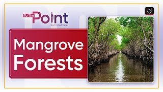 Mangroves Forests  To the Point  Drishti IAS English [upl. by Gnuhc]