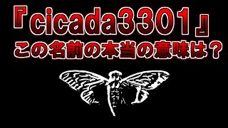 【ゆっくり解説】新作です。『cicada3301』の本当の意味とは？名称の謎について解説 [upl. by Kerrill221]