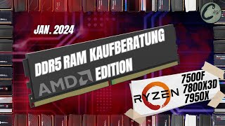 Der BESTE RAM für AMD 2024  3 CPUs  16 Kits [upl. by Perlis]