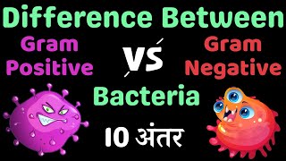 Gram Positive और Gram Negative Bacteria में क्या अंतर है Difference Between bacteria [upl. by Aitropal6]