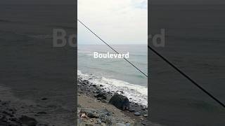 Boulevard pirakashortvideoOceanprovincetrendingshortfypシ゚viral [upl. by Asirral]