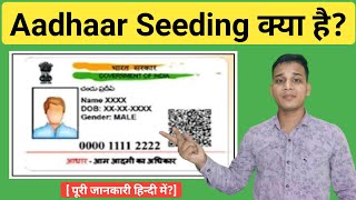 Aadhaar Seeding क्या है  What is Aadhaar Seeding in Hindi  Aadhaar Seeding Explained in Hindi [upl. by Nillor]