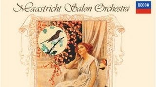 Serenade Op 6  Maastricht Salon Orchestra [upl. by Amsed906]