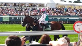 Juddmonte Parade Frankel [upl. by Ahlgren]