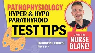 Hypoparathyroidism vs Hyperparathyroidism NCLEX Pathophysiology Endocrine Review with Nurse Blake [upl. by Antebi]