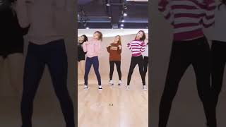 TWICE  TT Dance Practice mirrored [upl. by Namurt]