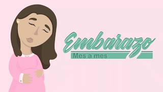 ❤️ SEMANA 34 DE EMBARAZO🤰 ❤️ ⏩ EMBARAZO SEMANA A SEMANA ⏩ Desarrollo y Evolución del Bebé 👶🏻 [upl. by Llemart]