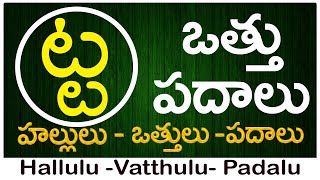 Ta Vattu Padalu  How to write Ta vattu  ట వత్తు పదాలు  Hallulu vatthulu padalu in telugu [upl. by Earesed]