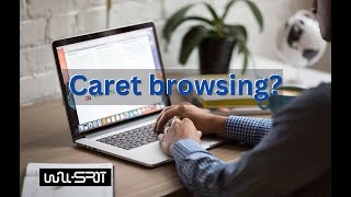 What Is caret Browsing And How To Use It [upl. by Concepcion]