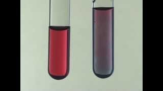 Citrate Synthesis of Gold Nanoparticles [upl. by Thagard]